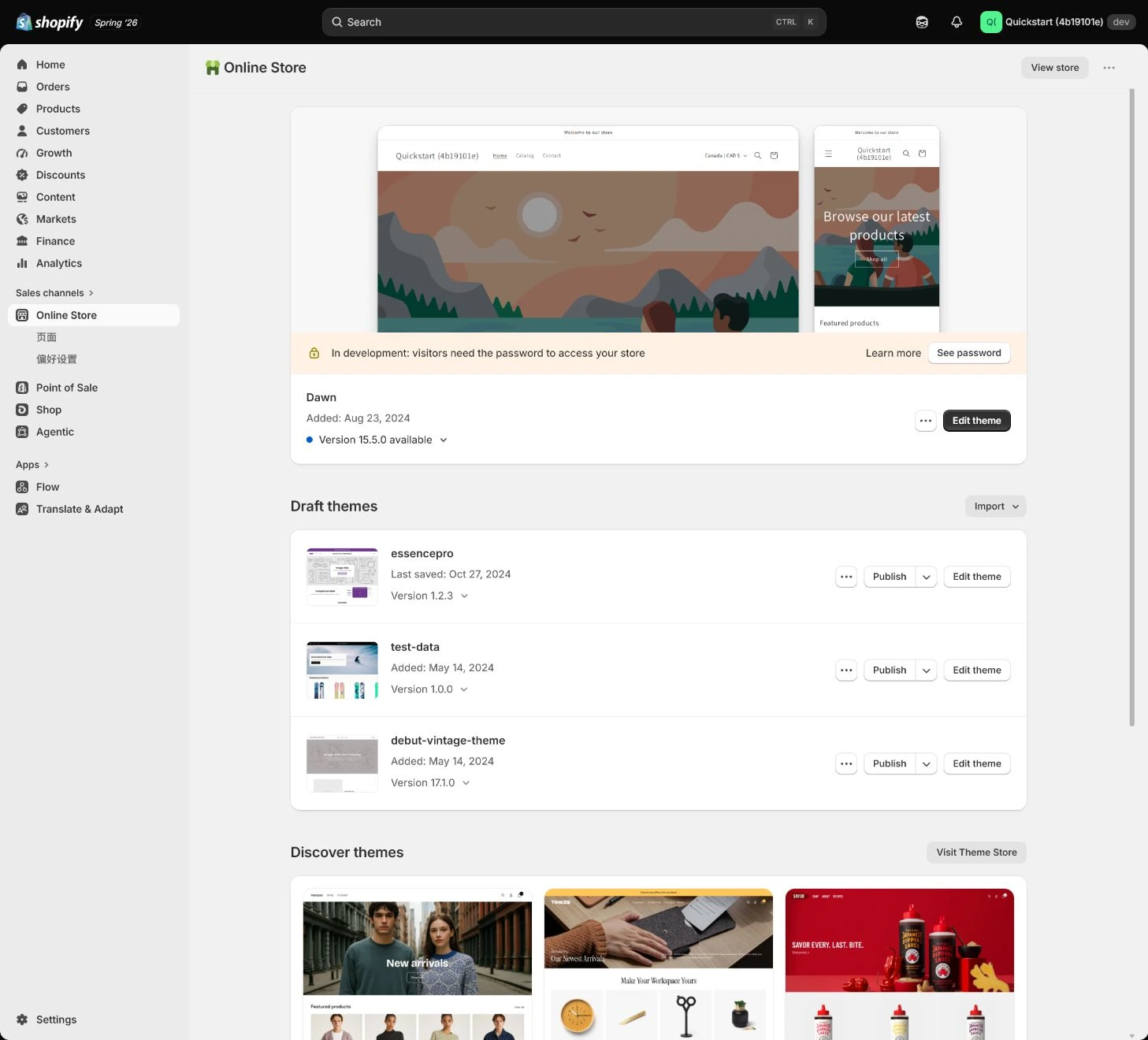 Shopify Online Store Themes 当前主题和预览入口。